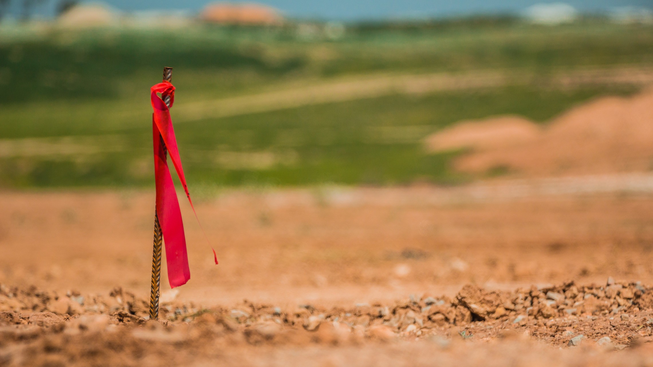 Shutterstock 399019675